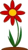 Flower Heritage & Cottage Garden selection