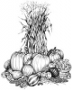 Gourds