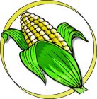Sweet Corn , Ambrosia 'Bi-Colour'