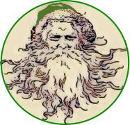 Agretti (Salad Herb) , Roscana - Friars Beard or Opposite Leaved Saltwort