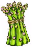 Asparagus , "Matriarch" - Mary Washington  (Early 1900's USA)