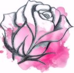 Aubergine (Egg Plant) , Rosa Bianca (Hierloom)