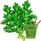 Chopsuey Greens Salad Leaf - Japanese , Edible Chrysanthemum