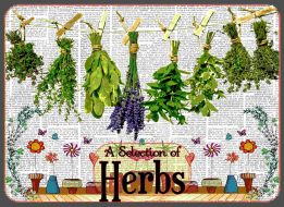 'Ten Packet' Gift Box Collection, 'Herb Seed Selection'