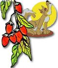 GOJI - Berry (Seed) , Chinese Wolfberry (Health Benefits)