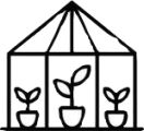 .Greenhouse Seed Collection  6 Packet Bundle