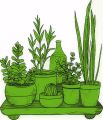 .Herbs 6 Pack Collection No 2