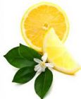 Citrus, Lemon (small)