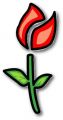 Flowers , Nasturtium Baby 'Deep Rose' Compact - non Trailing
