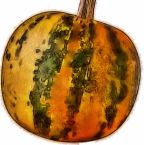 Pumpkin , Kakai (HULLESS) Edible Seed) New to us
