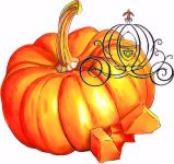 Pumpkin , Rouge vif d’Etampes 'Potiron' (Big Red Cooker)