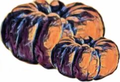Squash , Musquee de Provence (Traditional French) 'Potiron Bronze de Monthery'
