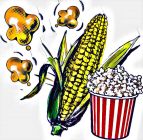 Sweet Corn , Robust - Sweet POPPING CORN (New to us)