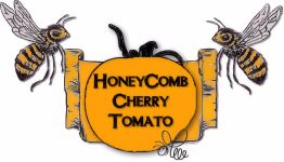Tomato , Honeycomb - Golden Orange Sweet Cherry