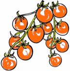 Tomato , Orange Paruche - Sweet Cherry BLIGHT RESISTANT (New to Us)