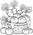 .Vegetable Plot Seed Collection 6 Packet Bundle