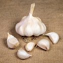 Garlic, Autumn Planting, Mersley Wight (Softneck)