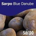 Seed Potato, Blue Danube - 1 kilo