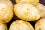 Seed Potato, Caledonian Pearl - 1 kilo
