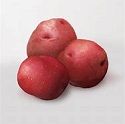 Seed Potato, Caledonian Rose - 1 kilo