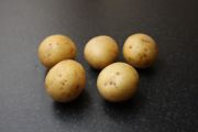Seed Potato, Gemson - 1 kilo