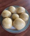 Seed Potato, Harry - 1 kilo