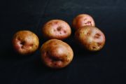 Seed Potato, Kerrs Pink  - 1 kilo