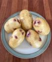 Seed Potato, Kestrel - 1 kilo