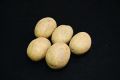 Seed Potato, Nadine  - 1 kilo