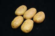 Seed Potato, Wilja  - 1 kilo