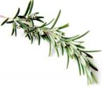 Rosemary, Green Ginger