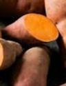 Sweet Potato, Erato® Compact Orange (3 plants)